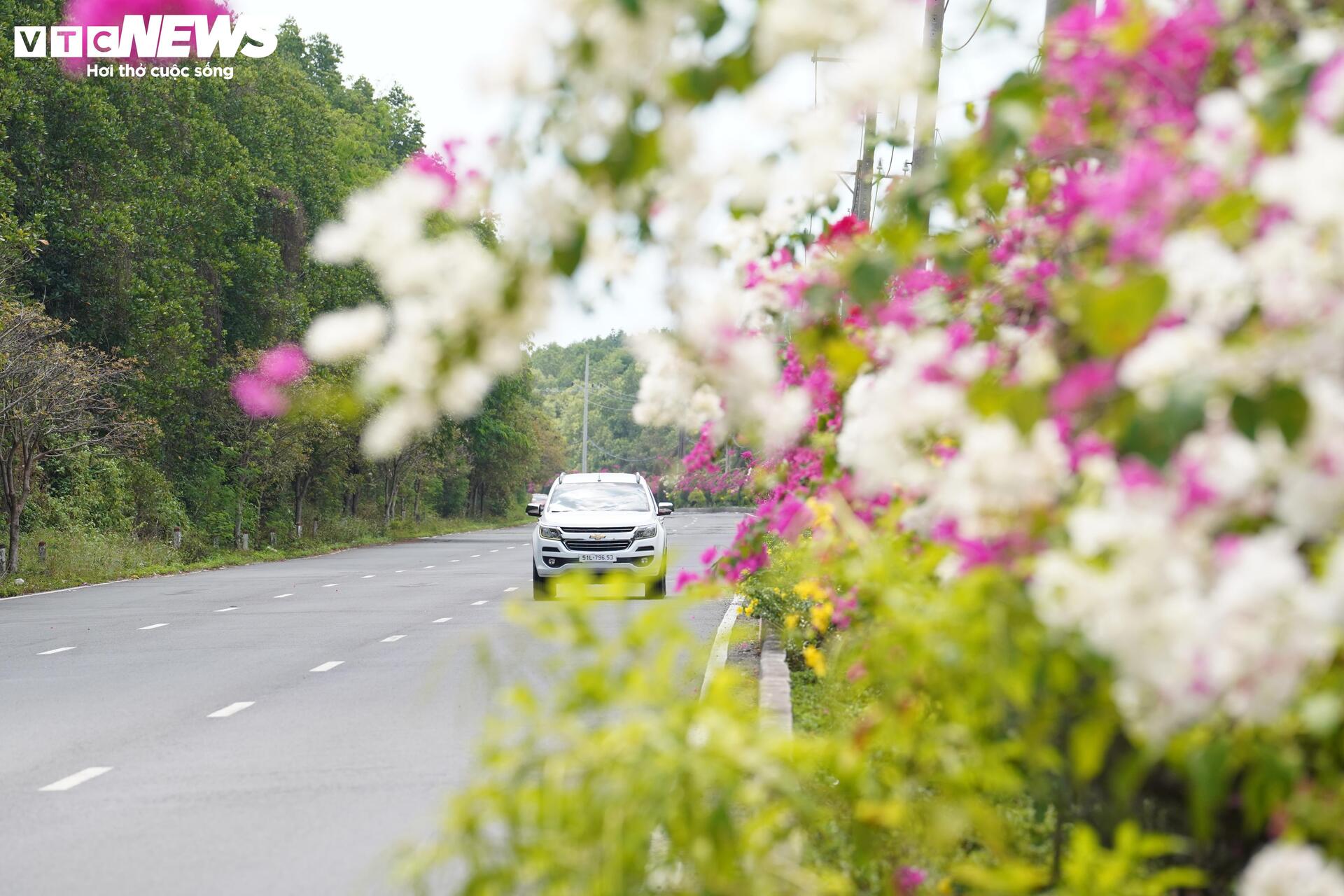 Ngắm cung đường tuyệt đẹp xuyên rừng ngập mặn ở TP.HCM - 15