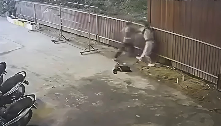 Vi Văn Cương dùng dao sát hại bạn gái. (Ảnh: Cắt từ clip).