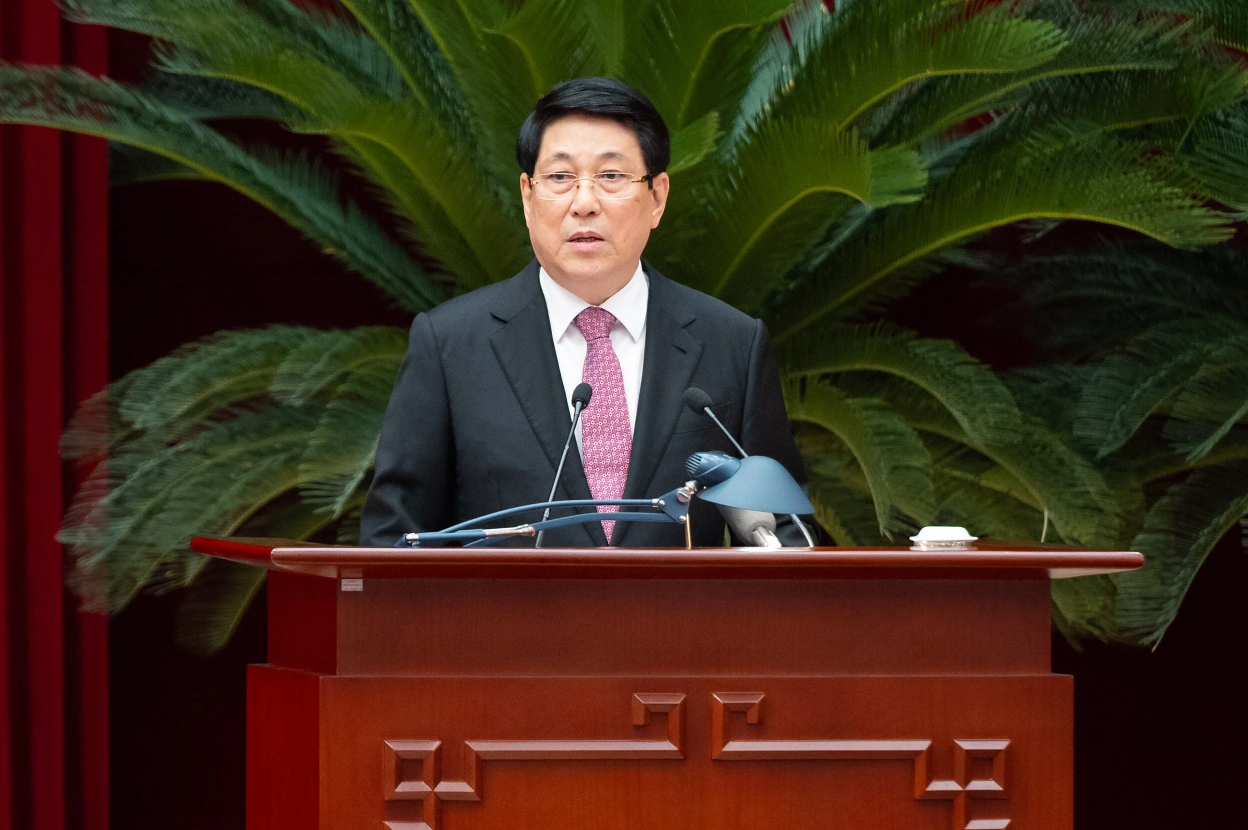 Chủ tịch nước Lương Cường phát biểu.