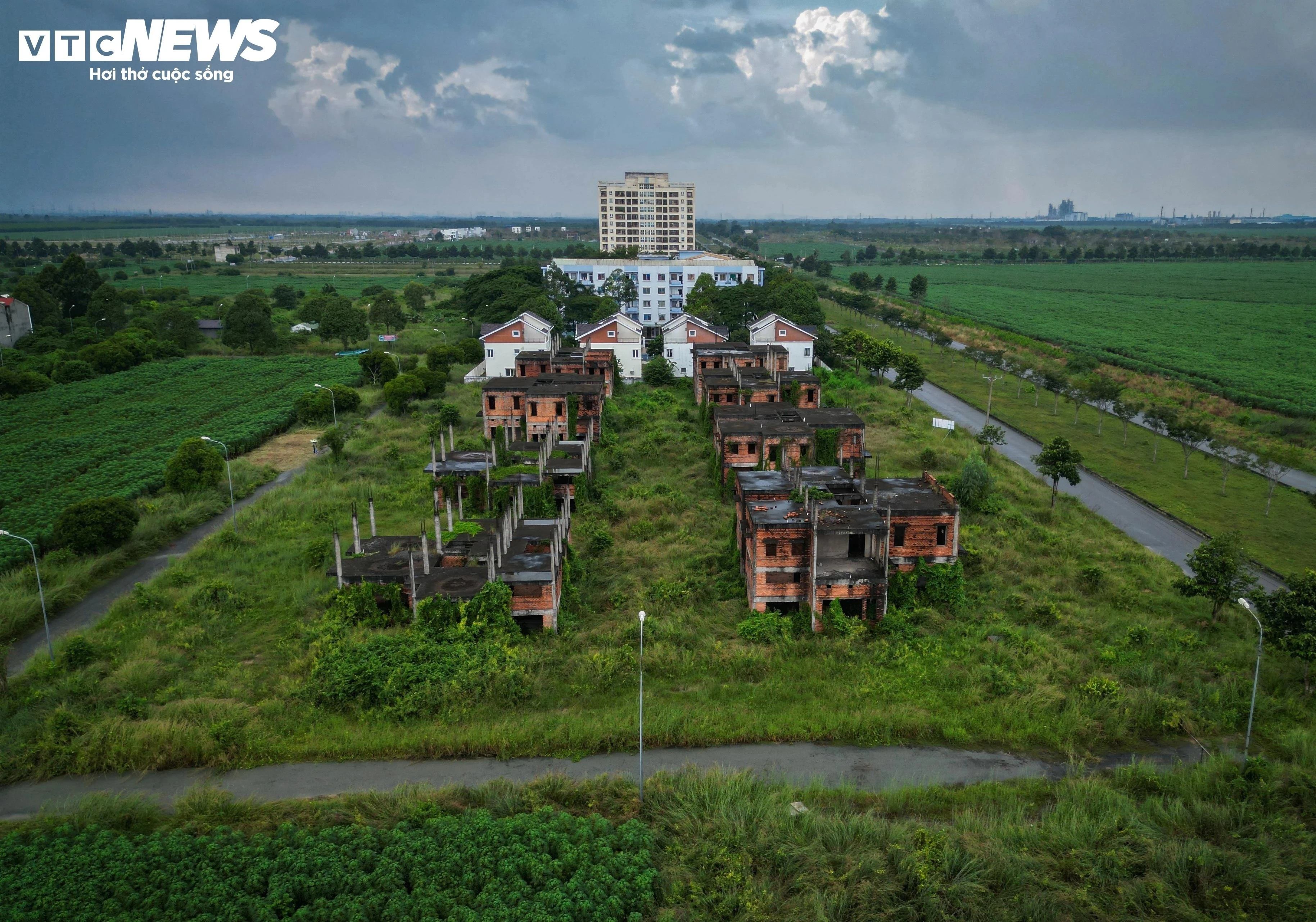 Cầu Cát Lái khởi công, bất động sản Nhơn Trạch sắp khởi sắc? - 2