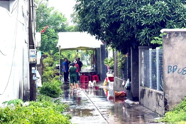 Vụ án mạng ở Phước Hải: Nguyên nhân ban đầu nghi do ghen tuông - Ảnh 1.