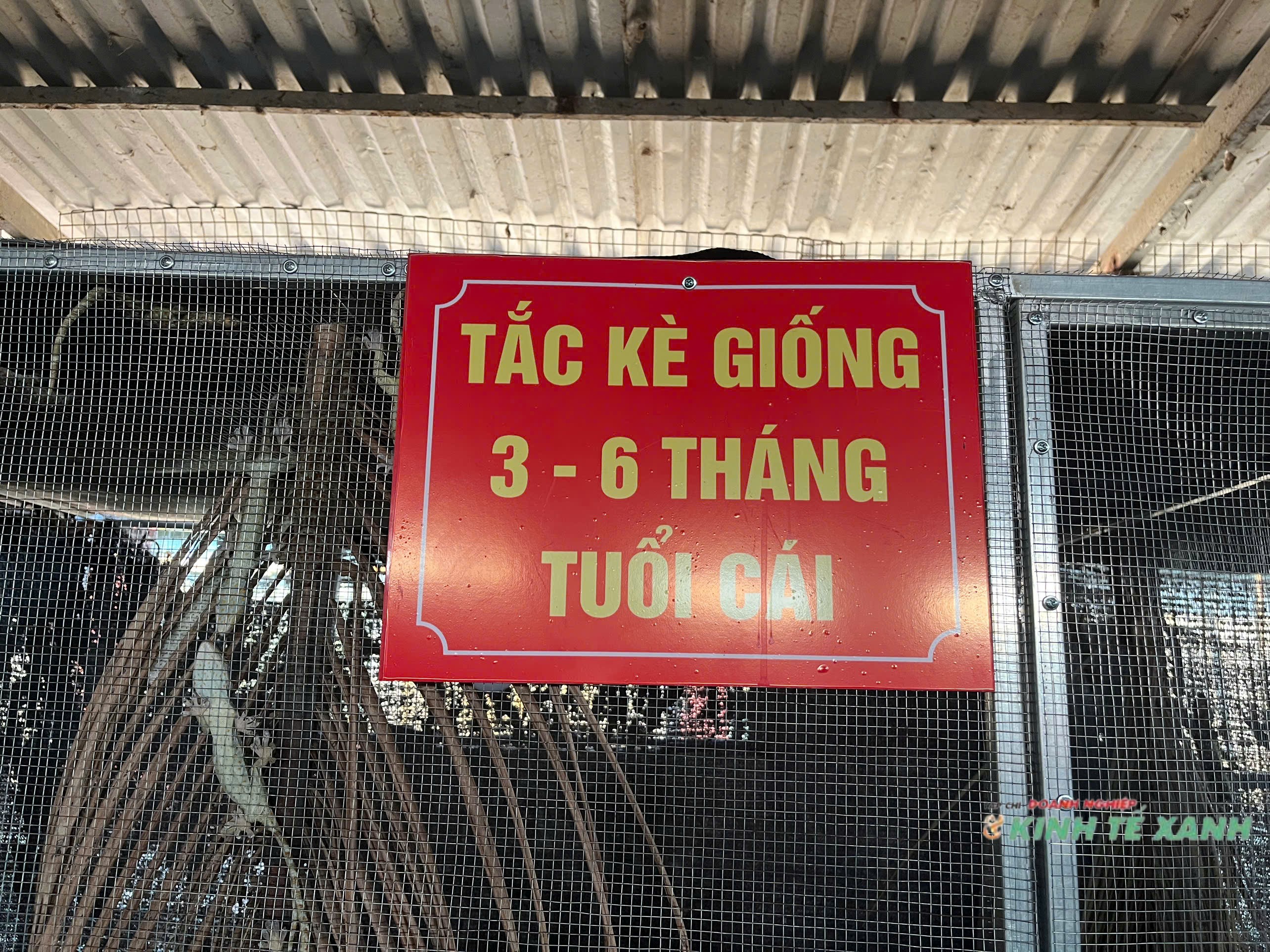 lam-giau-tu-nuoi-dong-vat-hoang-da-co-hoi-lon-thach-thuc-khong-nho-1-1757583116.jpg