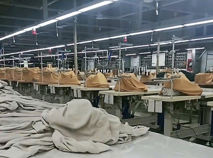 Bị nợ lương từ 6 tháng, người lao động có quyền yêu cầu áp dụng thủ tục phá sản doanh nghiệp - Ảnh 1.