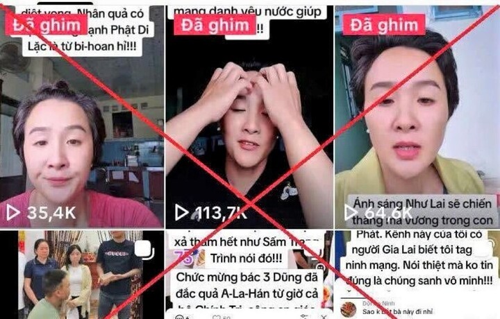 Nguyễn Thị Bích Phượng dùng nhiều tài khoản đăng tải nhiều bài viết có nội dung sai sự thật. (Ảnh Công an tỉnh Gia Lai)