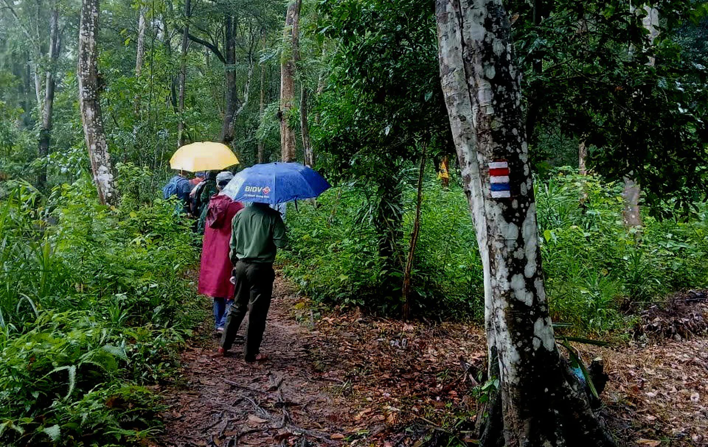 Hệ thống dẫn đường Czech the Trail tại Phong Nha - Kẻ Bàng có gì đặc biệt? - Ảnh 2.