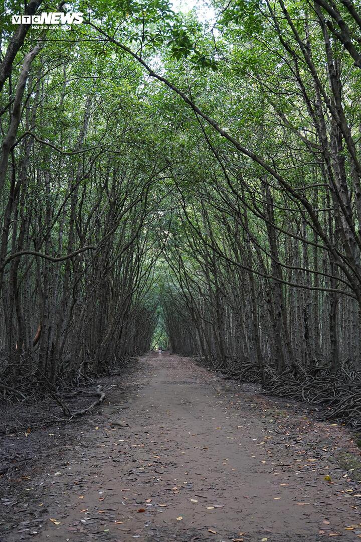 Đây không chỉ có cảnh sắc thiên nhiên đặc sắc mà còn là Di tích lịch sử Chiến khu Rừng Sác - một căn cứ địa cách mạng quan trọng của bộ đội trong những năm kháng chiến chống Mỹ cứu nước.