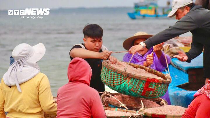 Theo ngư dân địa phương, năm nay ruốc xuất hiện sớm và tập trung thành từng đàn lớn gần bờ. Đây là loài hải sản nhỏ, thường xuất hiện theo mùa . Vì vậy, khi ruốc vào mùa, bà con tranh thủ ra khơi để kịp đánh bắt.