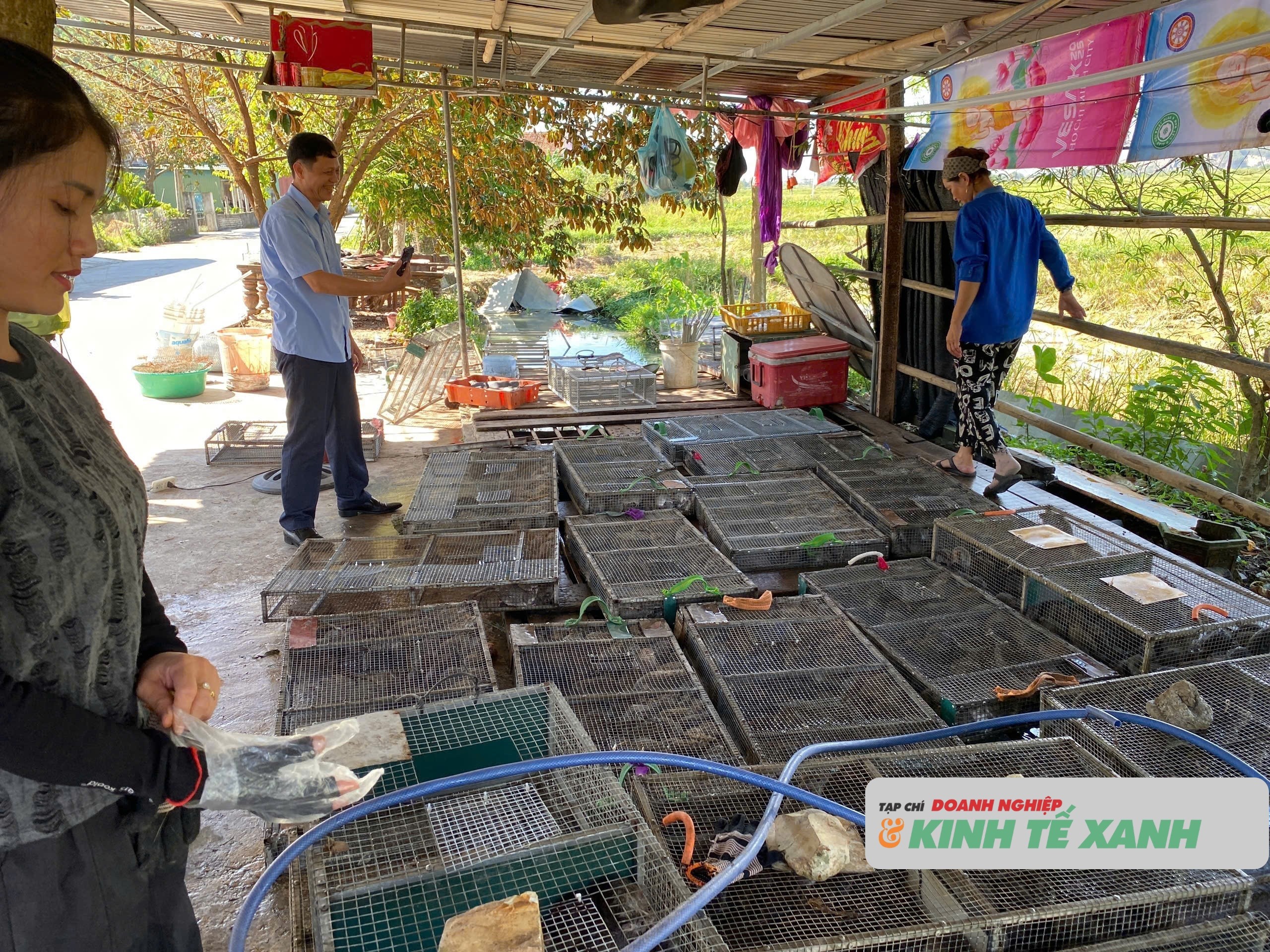 san-chuot-dong-o-nghe-an5-1757956853-1757981655.jpg