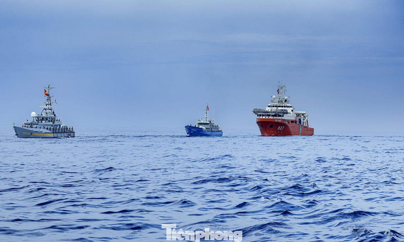 tp-a80-11.jpg