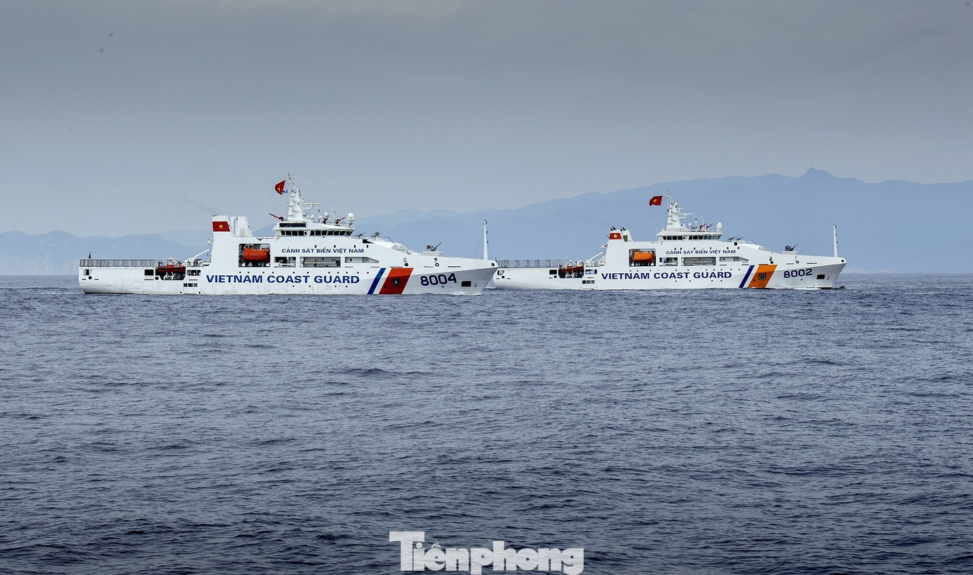 tp-a80-3.jpg