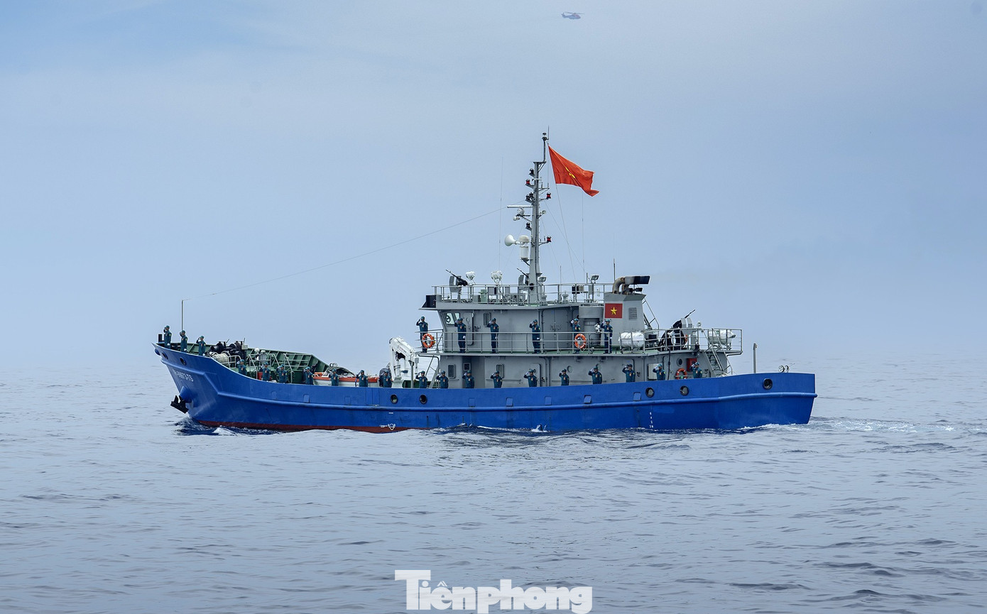 tp-a80-4.jpg