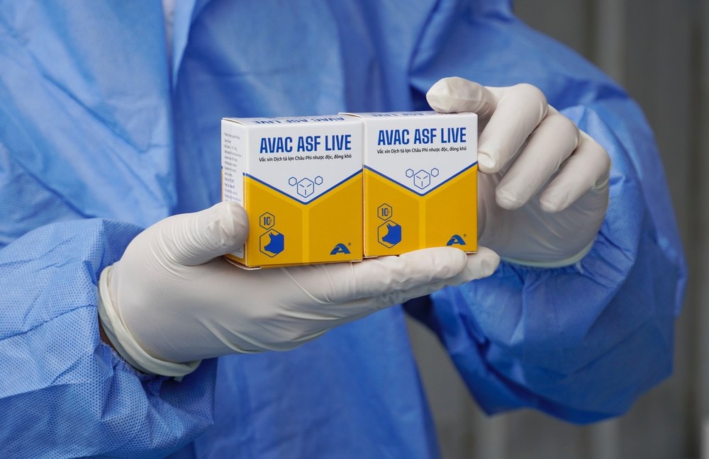 viet-nam-xuat-khau-lo-vaccine-dich-ta-lon-chau-phi-lon-nhat-sang-philippines-1757585733.jpg
