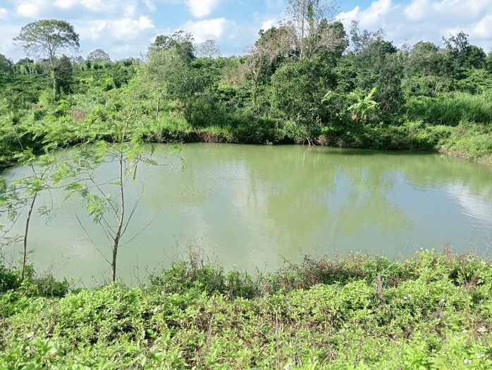 3 Cháu nhỏ tử vong thương tâm do đuối nước ở Đắk Lắk - Ảnh 1.